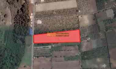 dijual tanah jalan kebun bunga dolat