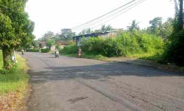 Tanah Bisa untuk Berbagai Usaha di Pengasih Kulonprogo Yogyakarta