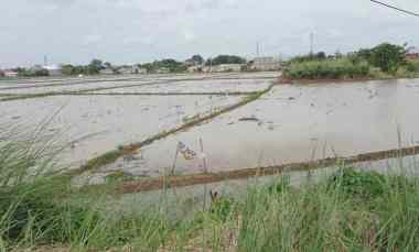 dijual tanah jalan lingkar tanjungpura