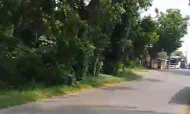 Tanah Strategis untuk Gudang dan Perumahan Pinggir Jalan Kota Subang