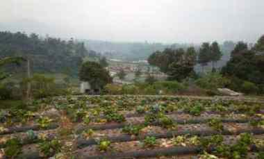 2,5 Ha Tanah Bukit View Indah, Langensari, Lembang, Bandung Barat