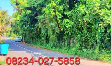Dijual Tanah 3188 m2 jl Pantai Purnama Sukawati Gianyar Bali