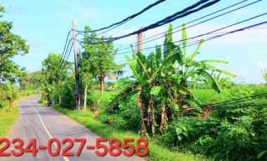 Dijual Tanah View Laut 5340 m2 jl Pantai Purnama Sukawati Gianyar Bali