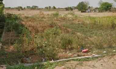 Tanah untuk Ruang Usaha atau Gudang Pinggir Jalan Pantura Losaran