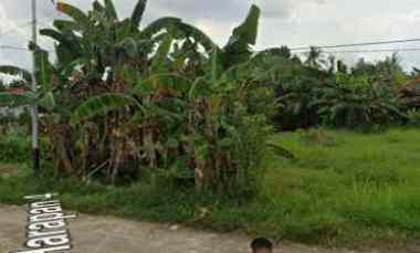 dijual tanah jalan petani gg harapan 4