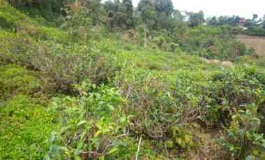 400 m2 Tanah Kavling dekat Tagogapu di Sadangmekar, Bandung Barat