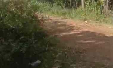 Tanah Peruntukan Kandang dekat Wisata Situ Bolang Indramayu