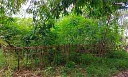 Dijual Tanah Milik Pribadi dekat Serpong Garden Cibogo Cisauk Tangeran