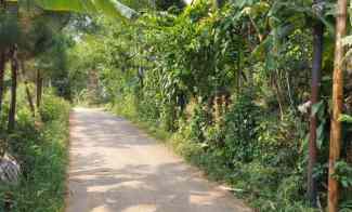 Lahan Darat Bisa untuk Usaha Ternak Kambing atau Ayam, Bogor