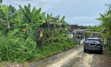 Tanah Dijual di Jalan raya munggu