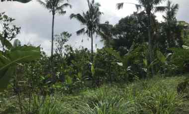 Tanah Tepi Sungai Luas 2.43 Ha di Kerta Payangan Gianyar Bali