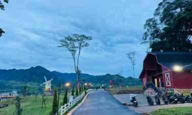 dijual tanah jalan raya puncak dua