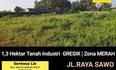 dijual tanah jalan raya sawo