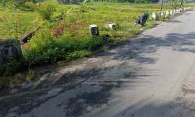 Dijual Tanah Sawah Strategis dan Produktif Pinggir Jalan