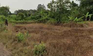 Tamah untuk Industri di Kawasan Pagaden Subang dekat Gerbang Tol
