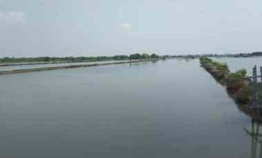 Tanah Tambak Strategis dekat Desa Singajaya Kota Indramayu