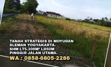 Tanah Murah Strategis di Moyudan Sleman Yogyakarta. Shm Lt5309m Ld50