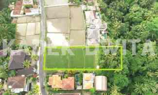 Dijual Tanah Tirta Tawar Ubud View Sawah Los Sungai Lingkungan Villa