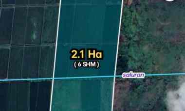 Tanah Pertanian 2.1Ha Air Mengalir Spanjang Masa 350rb/m2