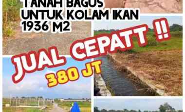 Dijual Cepat 1936m2 Janti Klaten 350jt Bagus untuk Kolam Ikan