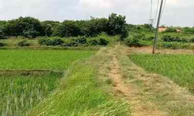 Tanah Dijual di Jaringao