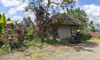 Tanah Dijual di Jatiluwih, Tabanan, Bali