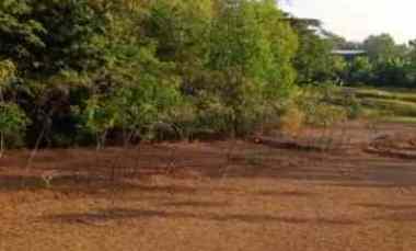 Dijual Tanah Pekarangan di Jeruk Sawit Gondang Rejo Karanganyar