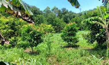 Jual Tanah Shm Siap Bangun di Kawasan Pasir Putih Kota Depok