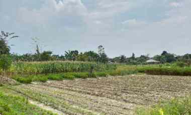 Dijual Tanah Kavling Dikawasan Ringroad Ngumban Surbakto