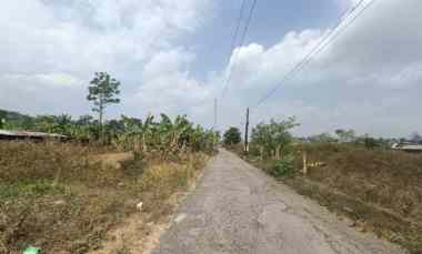 Tanah Murah Timur Stadion Maguwoharjo Sleman, Pemandangan Sawah
