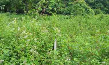 dijual tanah jl amd simpang bagan 1