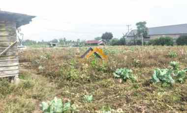 Jual Tanah Cocok untuk Buat Perkebunan Buah Daerah Karo jl. Barusjahe