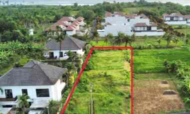 Dijual 12,5 are, jl. Batu Tampih Kawan Pangkung Tibah Kediri Tabanan