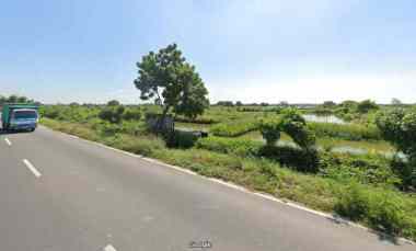 Tanah Industri Raya Betoyo Manyar Gresik dekat Jiipe dan Pintu Tol