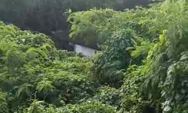 dijual tanah jl blambangan