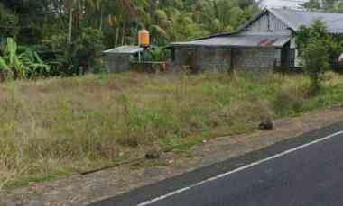 Dijual 63,5 are, jl. Raya Denpasar Bedugul Perean Baturiti Tabanan