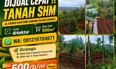 Dijual Cepat Tanah Shm Cipanas Cianjur View Bagus Hawa Sejuk