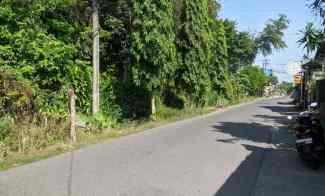 Pekarangan Istimewa, dalam Lingkungan Premium Tanah Cocok untuk di Bua