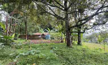 Tanah Dijual di jl cibalung cijeruk