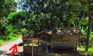 Dijual Tanah Hook Pinggir Jalan Murah Strategis dekat Tempat Wisata