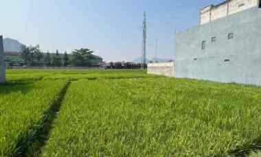 Tanah Sawah 10 Tumbak dekat Sma Batujajar Bandung Barat