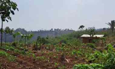 Tanah Zona Kuning Soreang Ciwidey Bandung Luas, Akses 2 Mobil