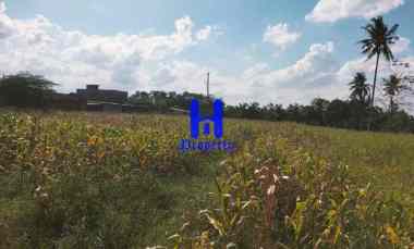 Dijual Tanah Kosong di Daerah Tuntungan II Jalan Danamon