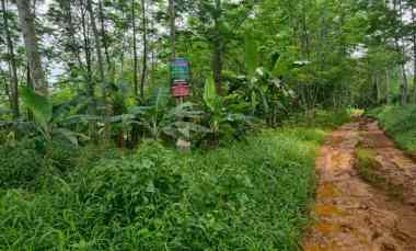 dijual tanah jl diponegoro gandarum