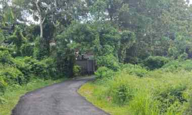 dijual tanah jl gubug sari