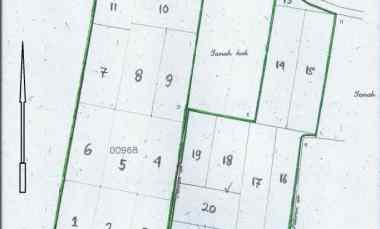 Dijual Tanah Sawah Produktif di jl. H. Muso, Rogojampi - Banyuwangi