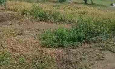 Tanah Dijual di Jl. Hakim