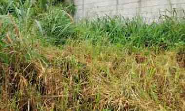 Kavling Siap Bangun Didalam Cluster dekat Stasiun Serpong