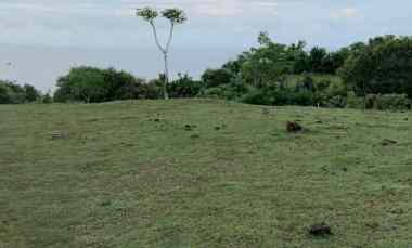 Dijual 2,361 Ha. LOS TEBING, jl. Karang Pandawa Kutuh Kuta Selatan