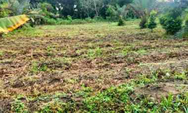 Dijual Tanah di jl Karya Massa hanya 200 M Jalan Suka Karya